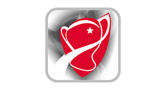 Turkiye Kupası